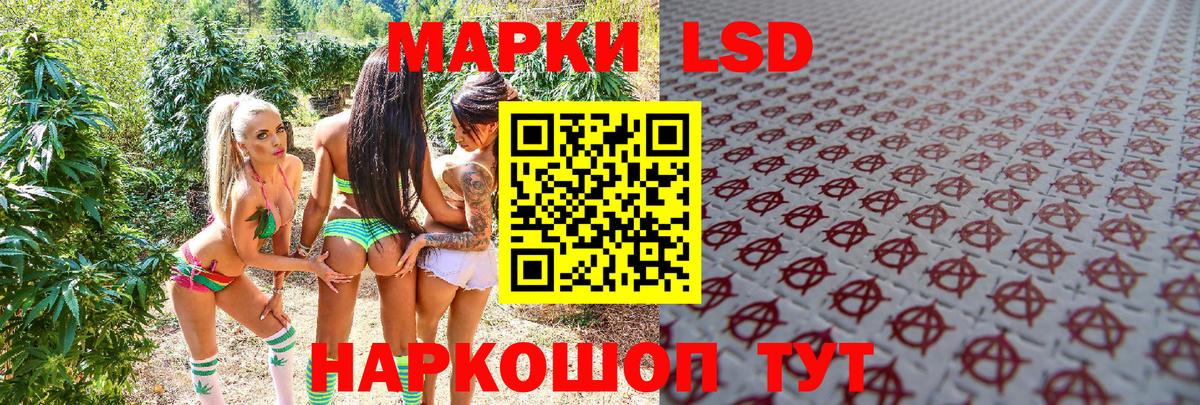 Наркотические марки 1500мкг Гусь-Хрустальный