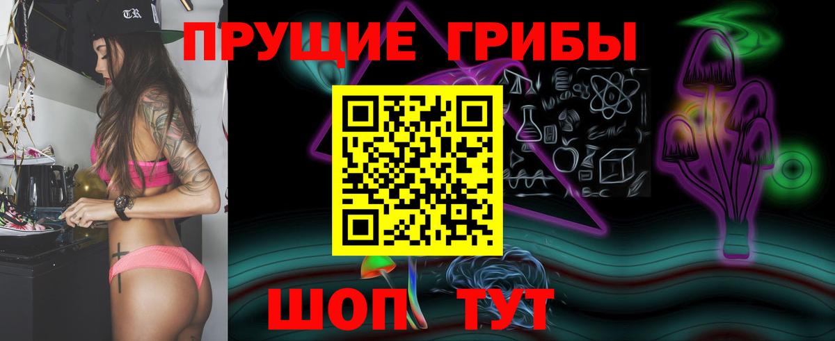 где продают наркотики  Вход с VPN  Гусь-Хрустальный  Псилоцибиновые грибы GOLDEN TEACHER 