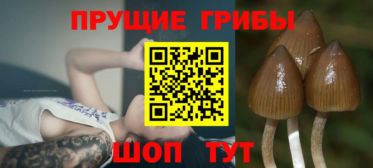 Псилоцибиновые грибы MAGIC MUSHROOMS Гусь-Хрустальный